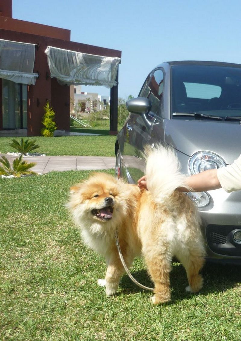 Essai ABARTH 500C by Drive and Fast