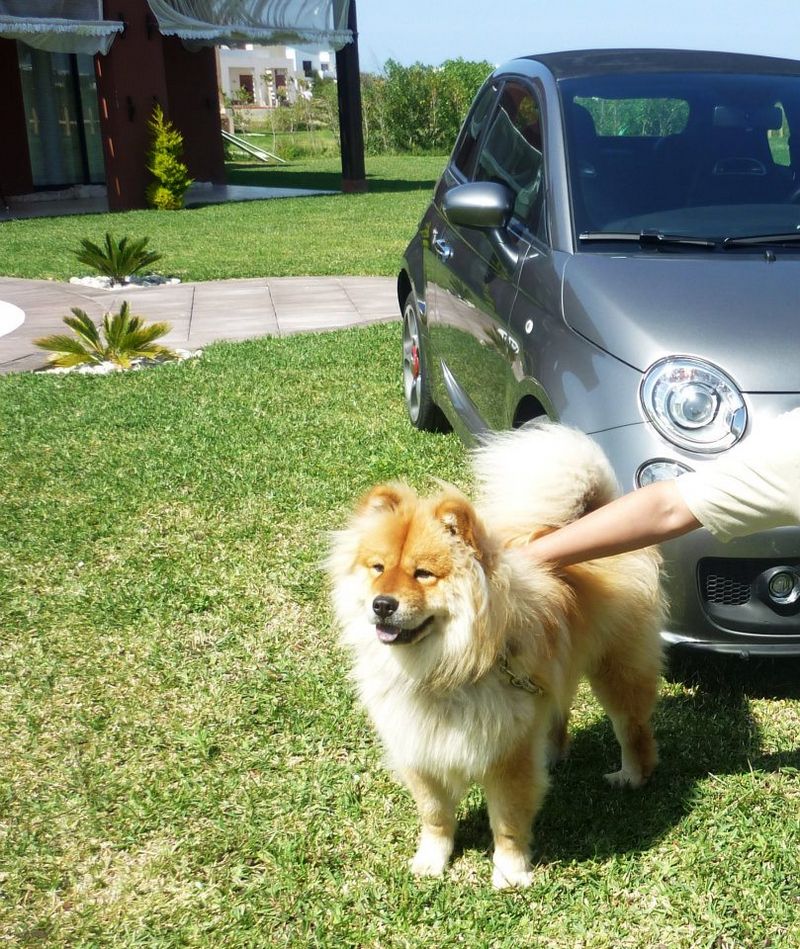 Essai ABARTH 500C by Drive and Fast