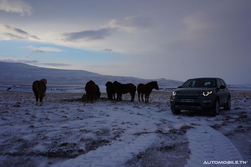 Essai Land Rover Discovery Sport - Islande