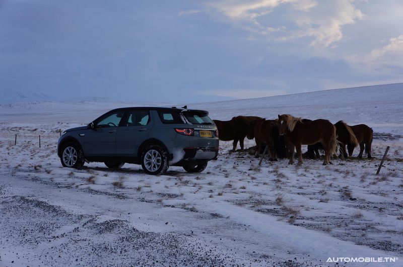 Essai Land Rover Discovery Sport - Islande