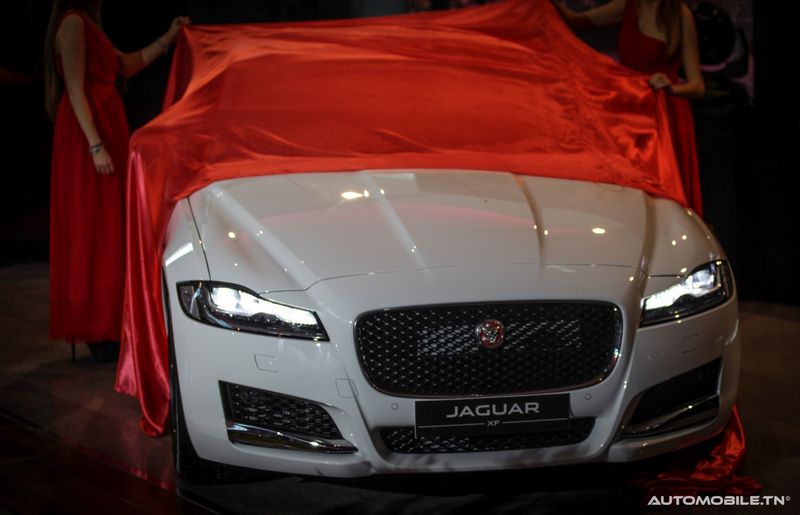 Nouvelles Jaguar XE et XF chez Alpha International