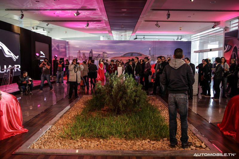 Nouvelles Jaguar XE et XF chez Alpha International