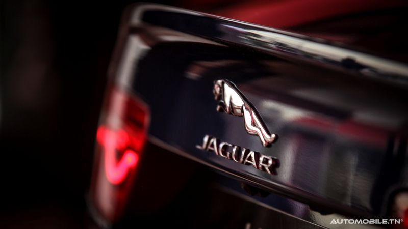 Nouvelles Jaguar XE et XF chez Alpha International
