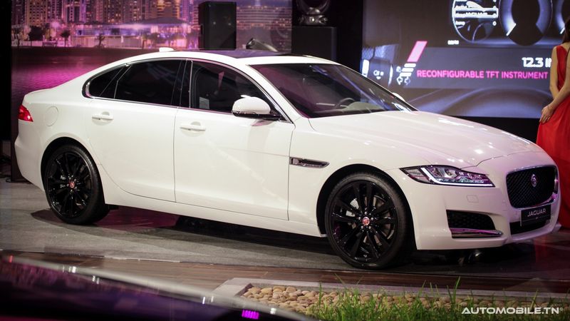 Nouvelles Jaguar XE et XF chez Alpha International