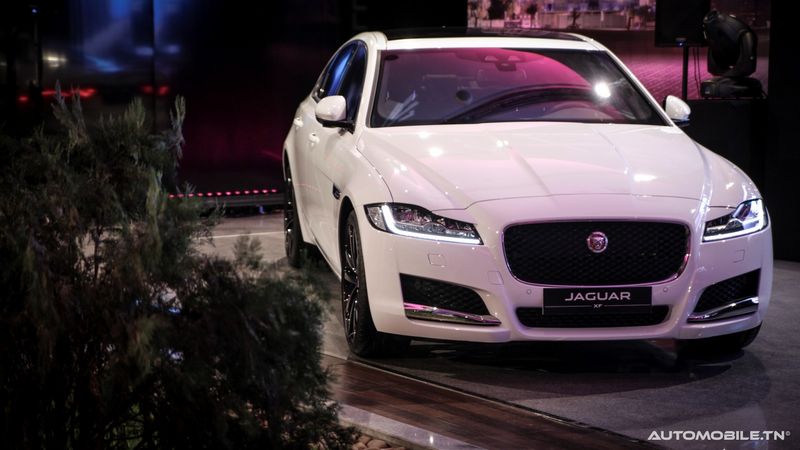 Nouvelles Jaguar XE et XF chez Alpha International