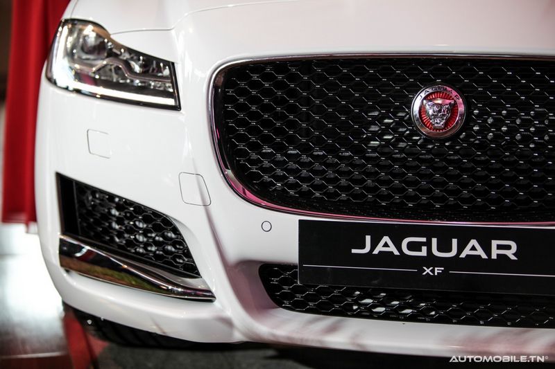 Nouvelles Jaguar XE et XF chez Alpha International