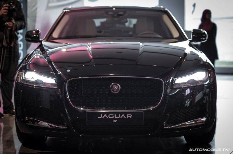Nouvelles Jaguar XE et XF chez Alpha International