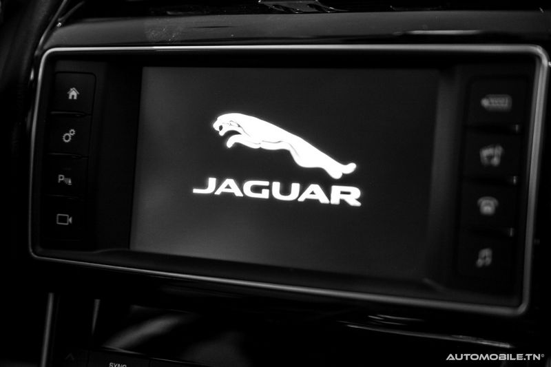 Nouvelles Jaguar XE et XF chez Alpha International