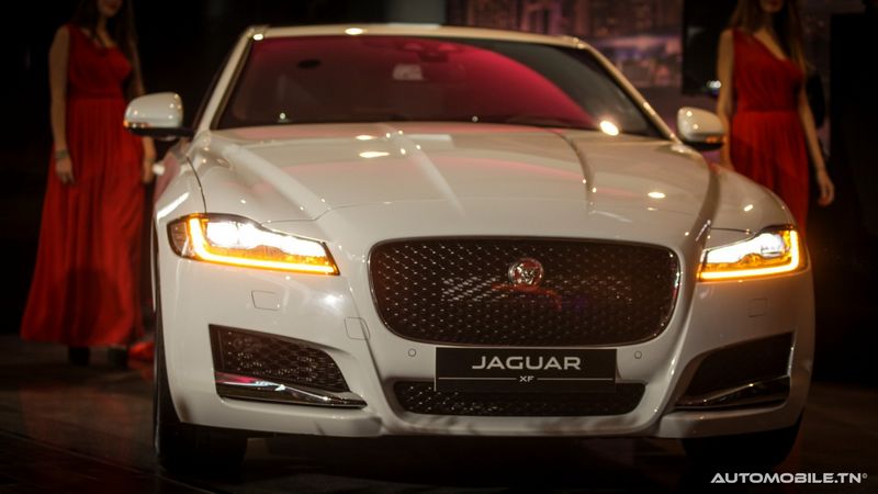 Nouvelles Jaguar XE et XF chez Alpha International