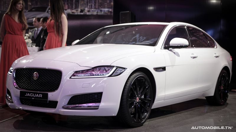 Nouvelles Jaguar XE et XF chez Alpha International