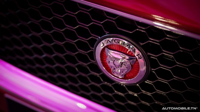 Nouvelles Jaguar XE et XF chez Alpha International