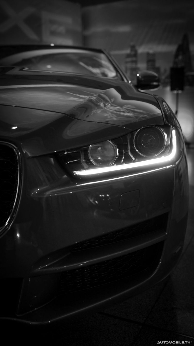 Nouvelles Jaguar XE et XF chez Alpha International