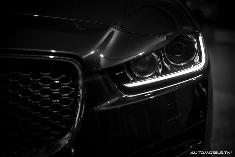 Nouvelles Jaguar XE et XF chez Alpha International