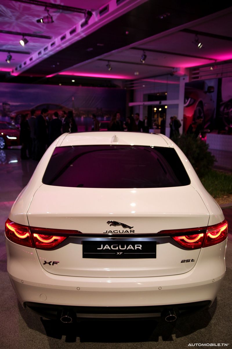 Nouvelles Jaguar XE et XF chez Alpha International