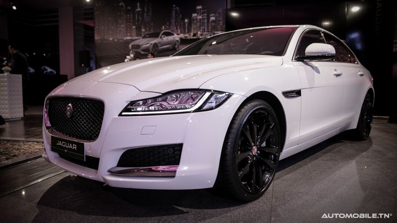 Nouvelles Jaguar XE et XF chez Alpha International