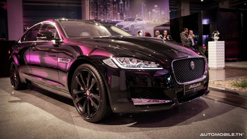 Nouvelles Jaguar XE et XF chez Alpha International