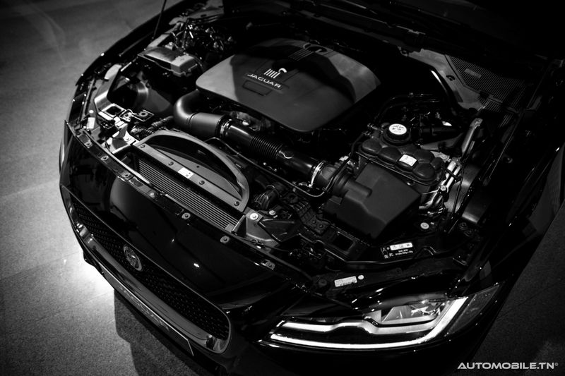 Nouvelles Jaguar XE et XF chez Alpha International