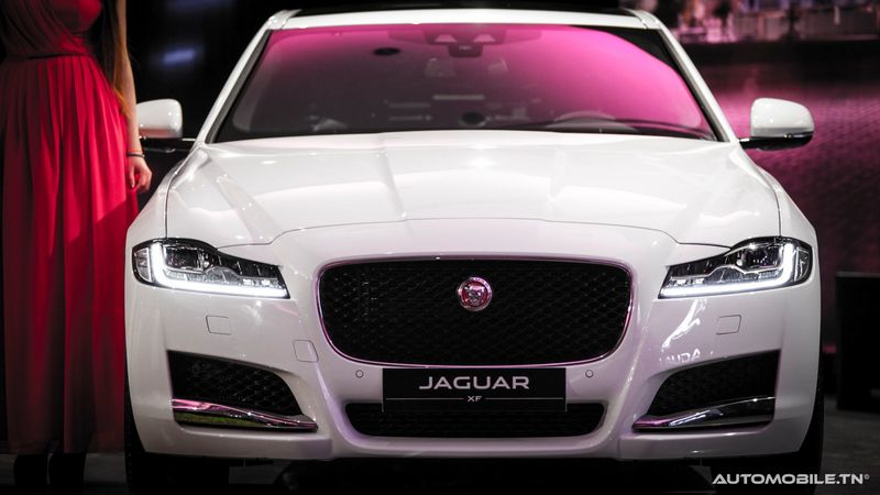 Nouvelles Jaguar XE et XF chez Alpha International