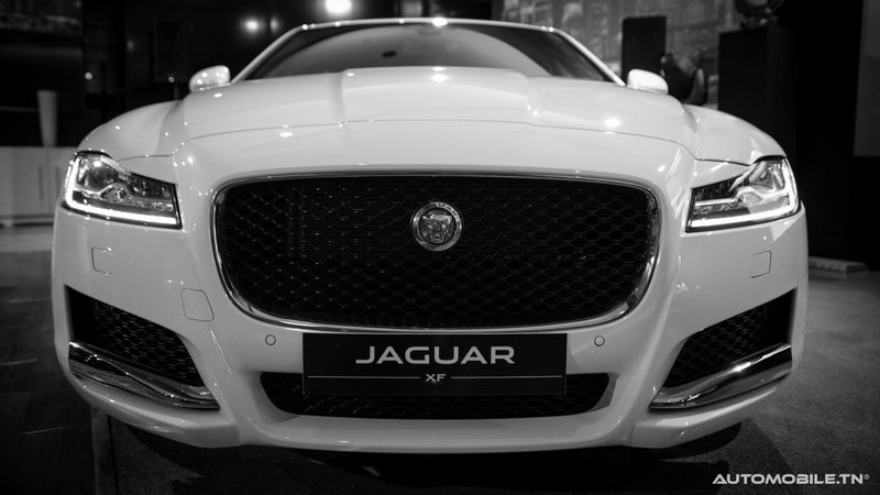 Nouvelles Jaguar XE et XF chez Alpha International
