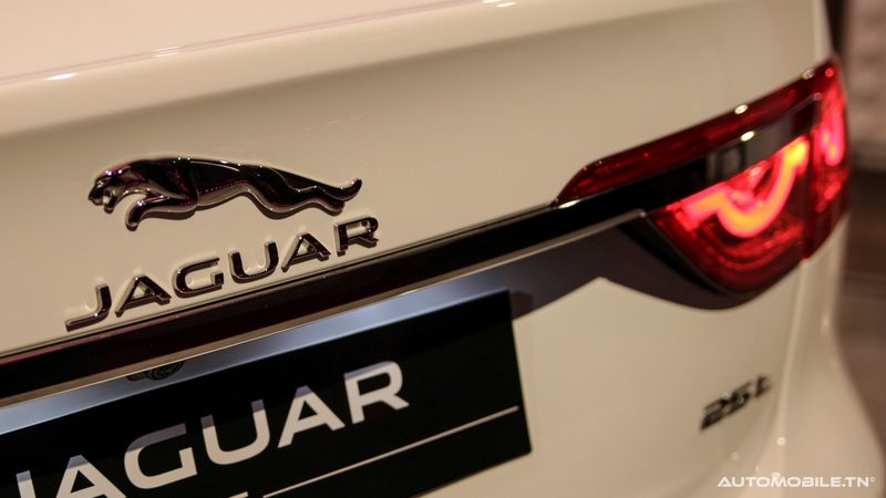 Nouvelles Jaguar XE et XF chez Alpha International