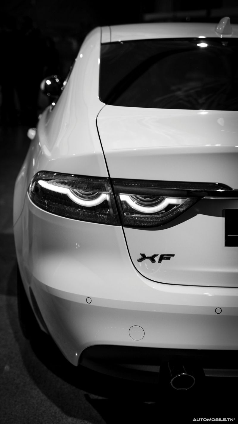 Nouvelles Jaguar XE et XF chez Alpha International