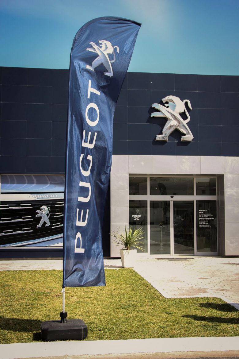 Peugeot 301 2017 - STAFIM