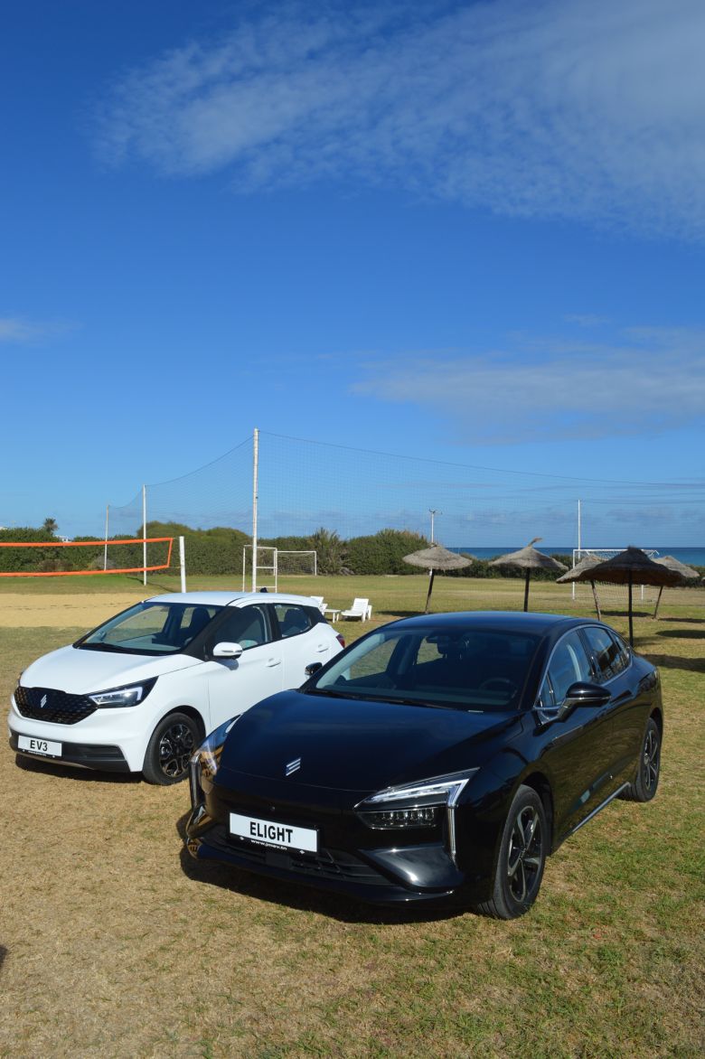 JMEV Elight 63 KWH Comfort