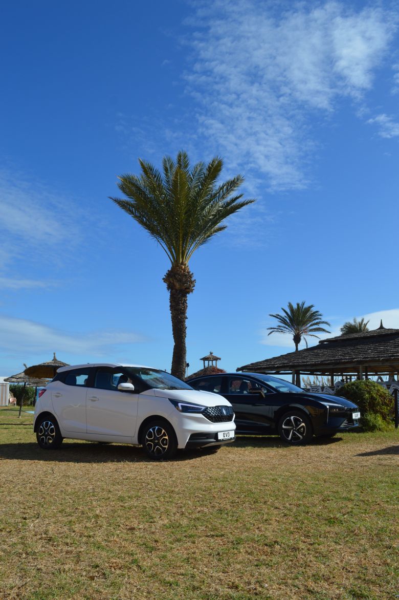 JMEV Elight 63 KWH Comfort