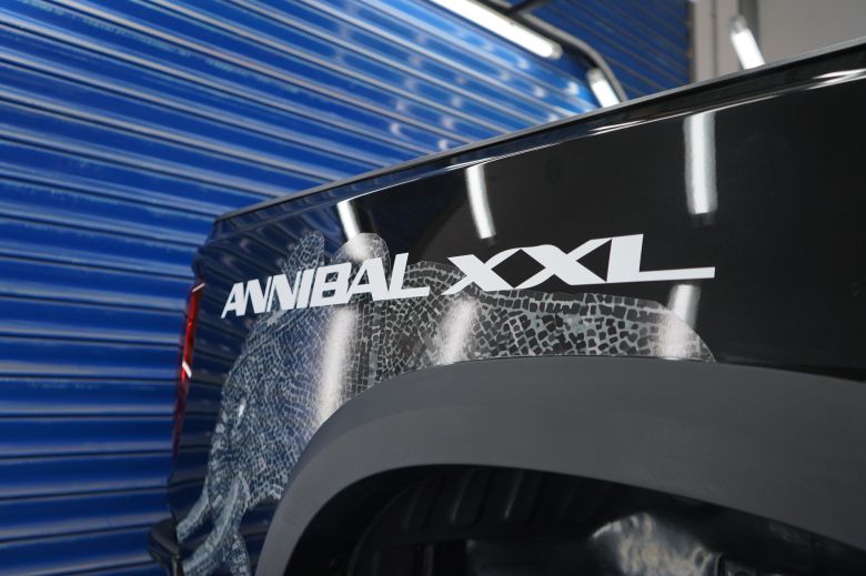 Wallys Annibal & Annibal XXL : l’assemblage atteint son rythme de croisière en Tunisie