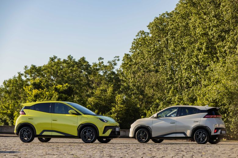 BYD Dolphin Surf 38.88 KWH