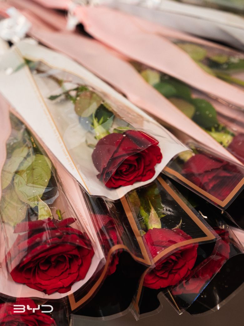 BYD Tunisie célèbre l’amour avec “BYD Keep Driving the Love”