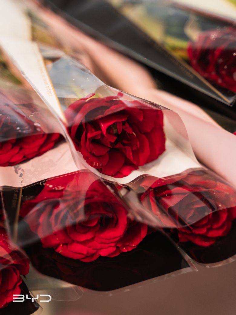 BYD Tunisie célèbre l’amour avec “BYD Keep Driving the Love”